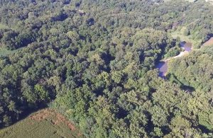 wooded property for sale tippecanoe county indiana Geswein  Finding the Most Bang for Your Buck: A Guide to Buying a Productive Hunting Property in Indiana wooded property for sale tippecanoe county indiana Geswein